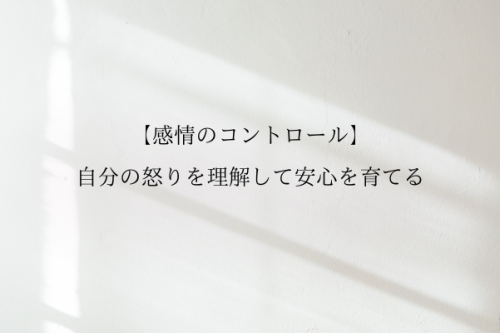 感情のコントロール　自分の怒りを理解して安心を育てる